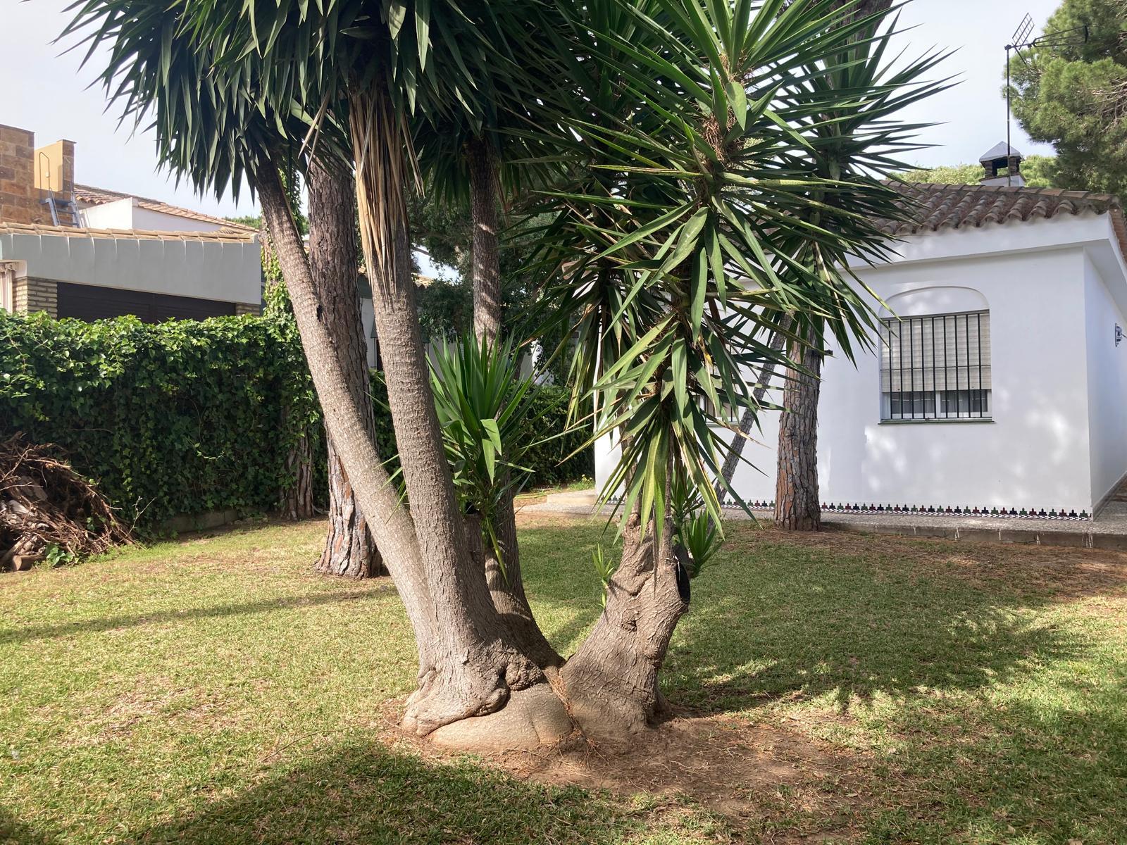 Venta de chalet en Chiclana de la Frontera