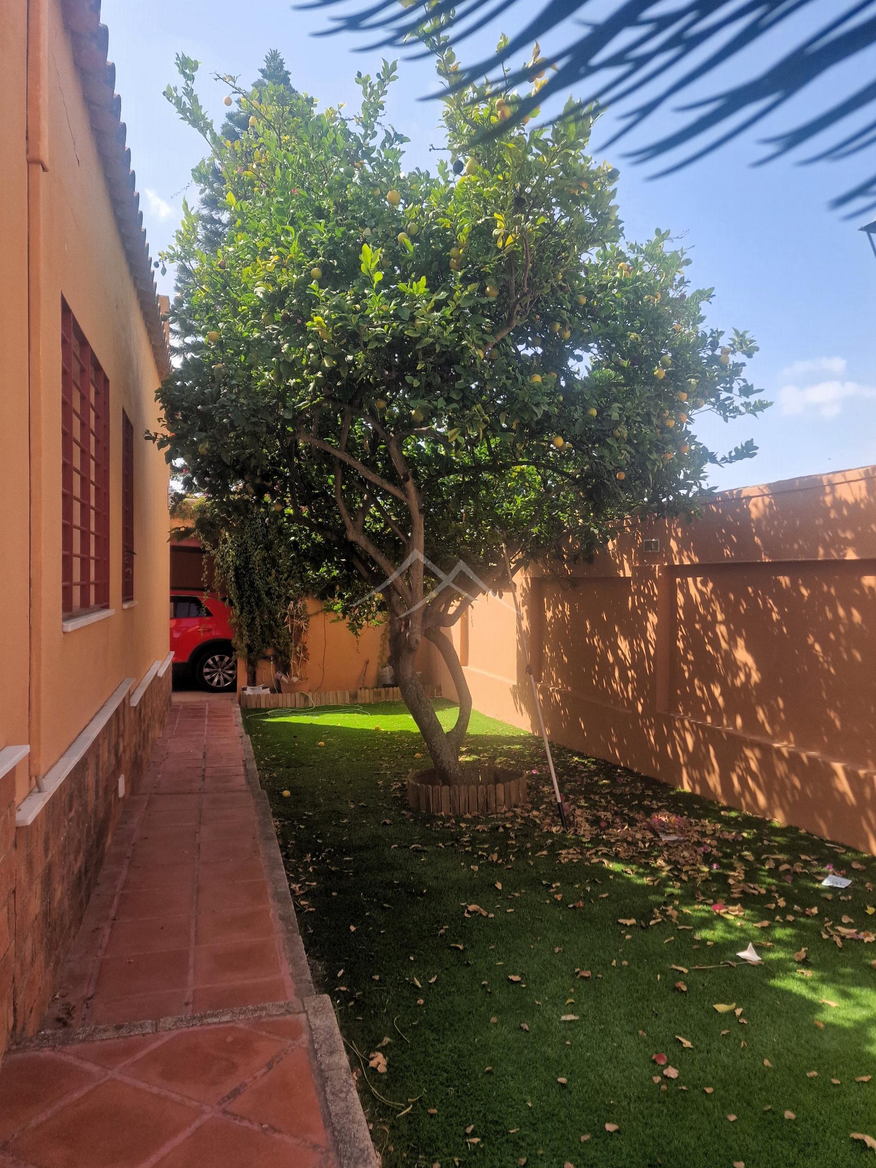 Jardín