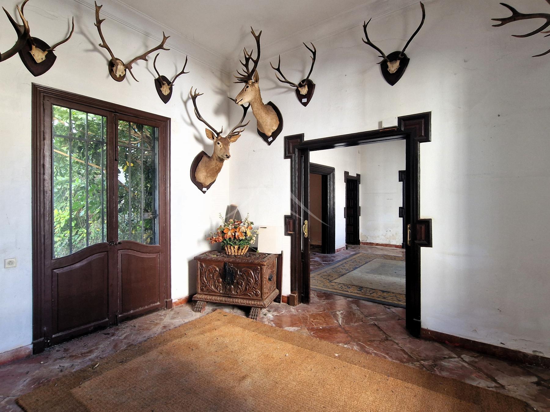 Sala
