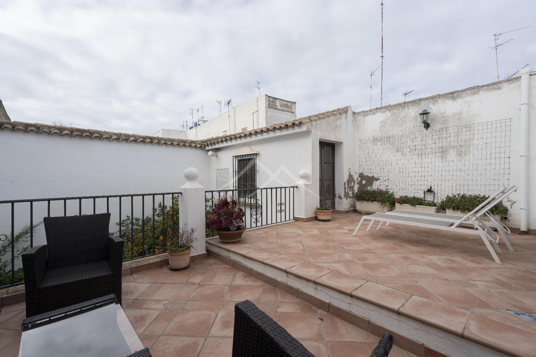 Terraza