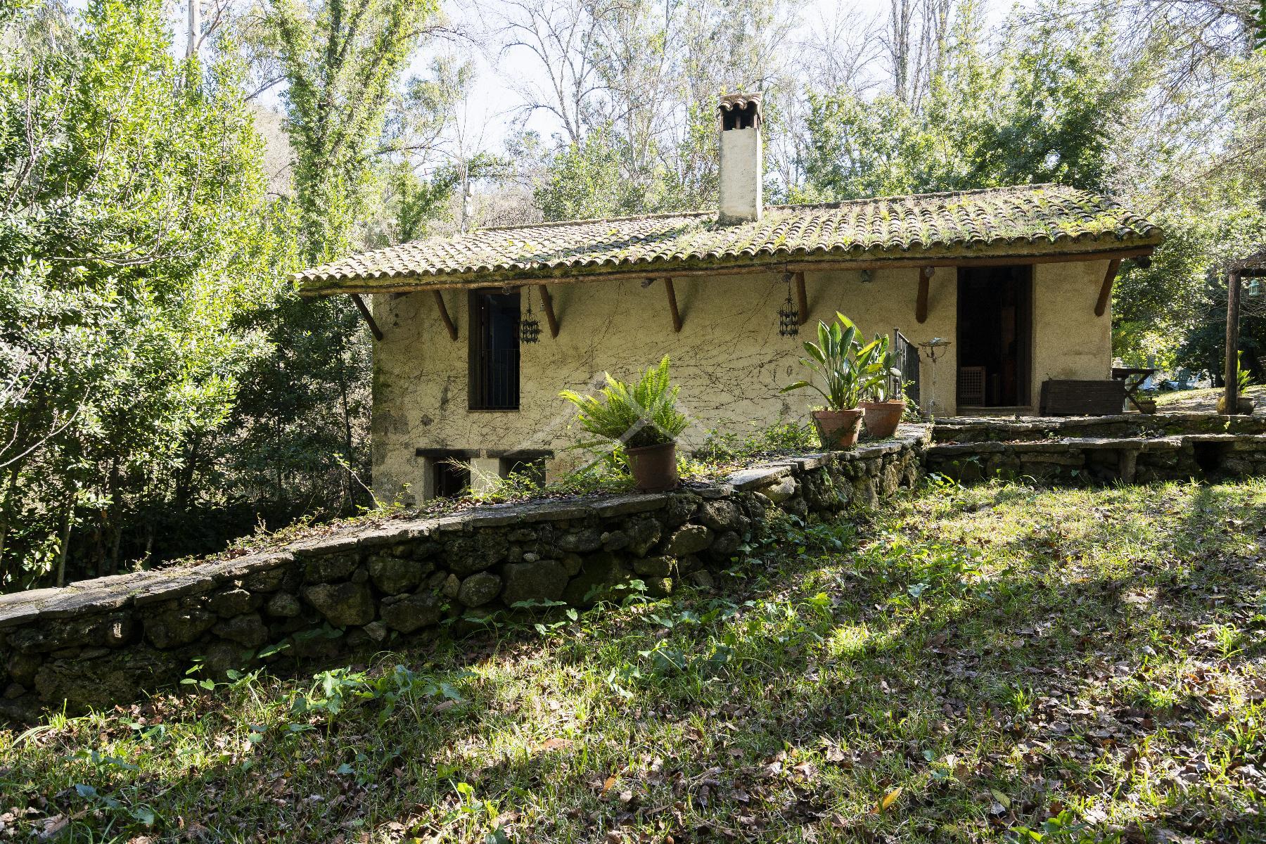 Terreno