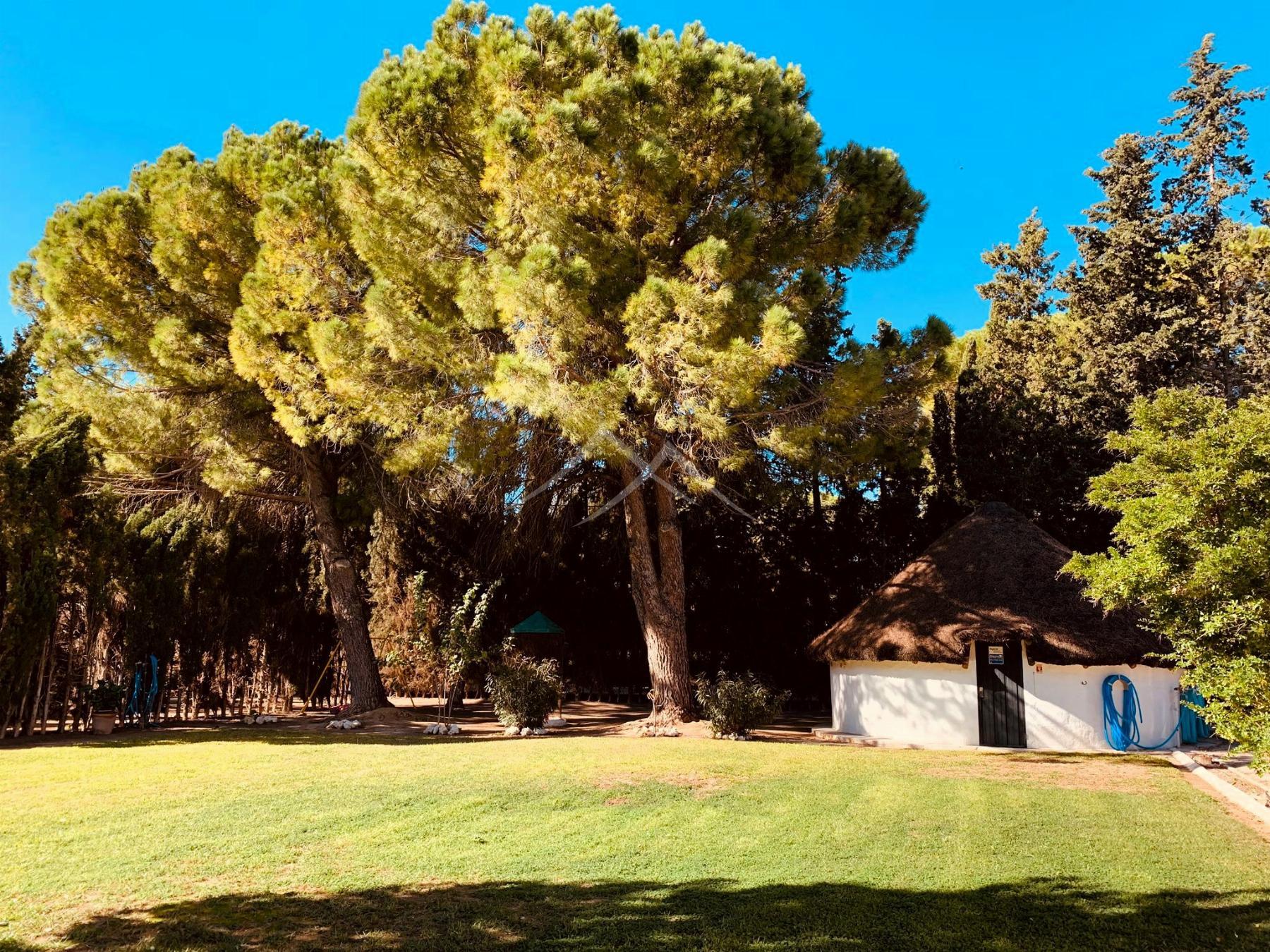 Venta de chalet en Jerez de la Frontera