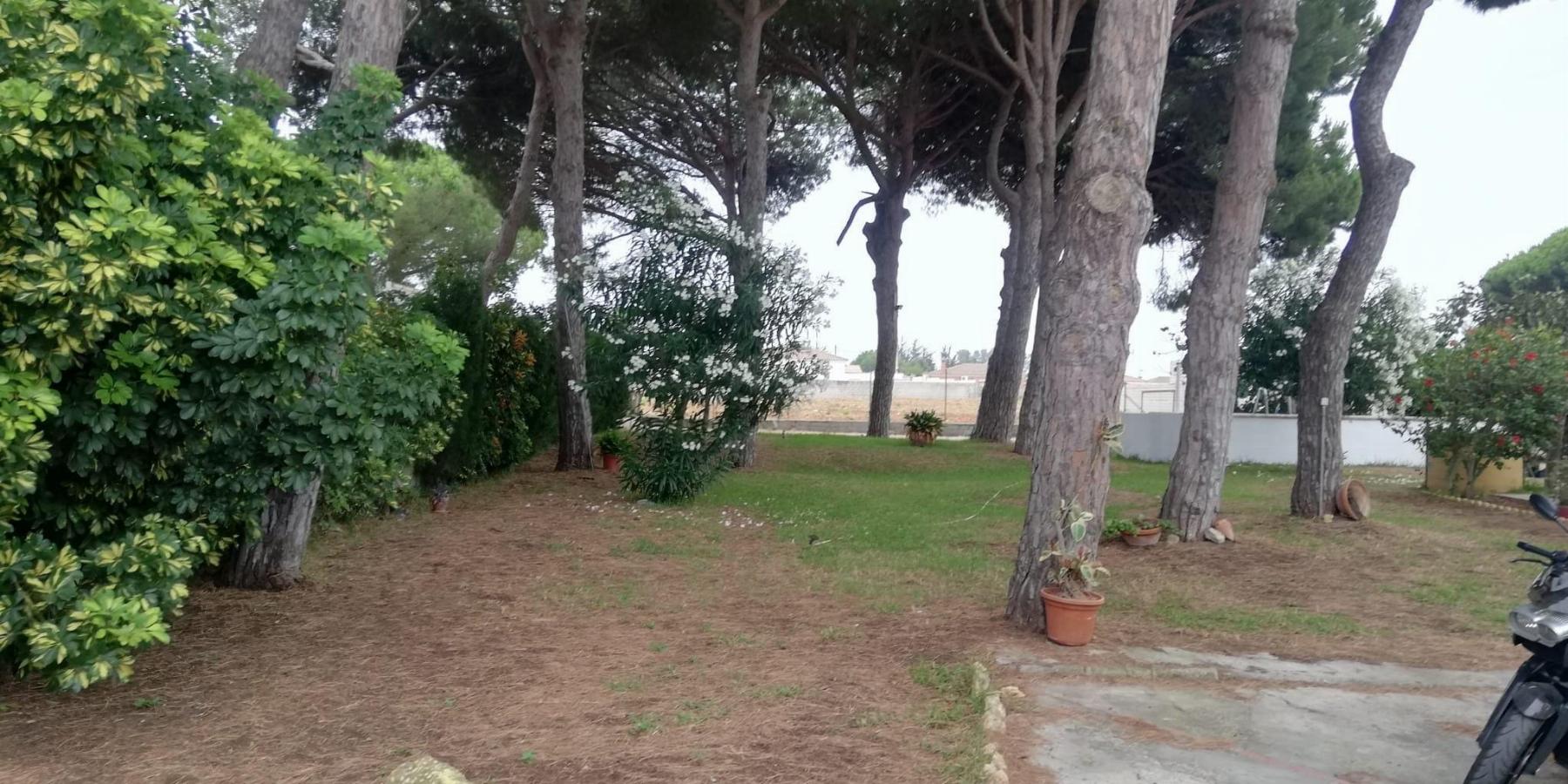 For sale of chalet in Chiclana de la Frontera