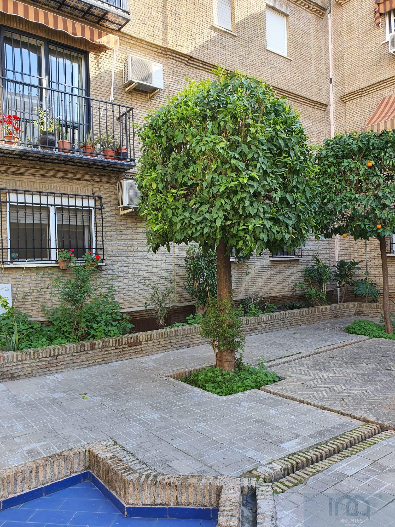 For rent of flat in Sevilla