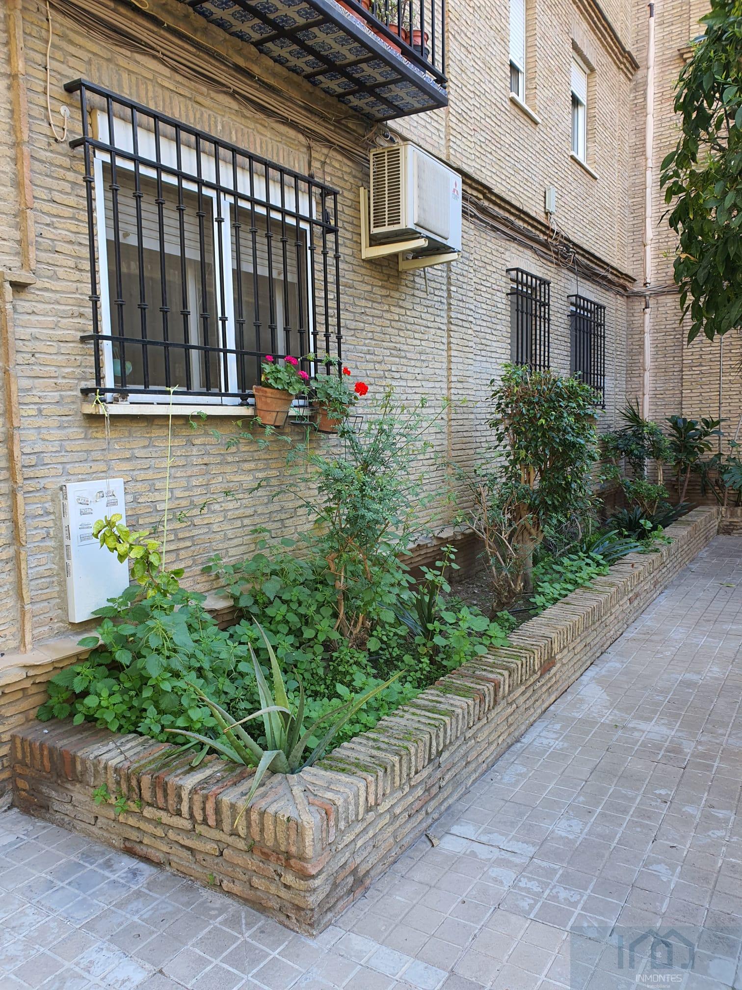 For rent of flat in Sevilla