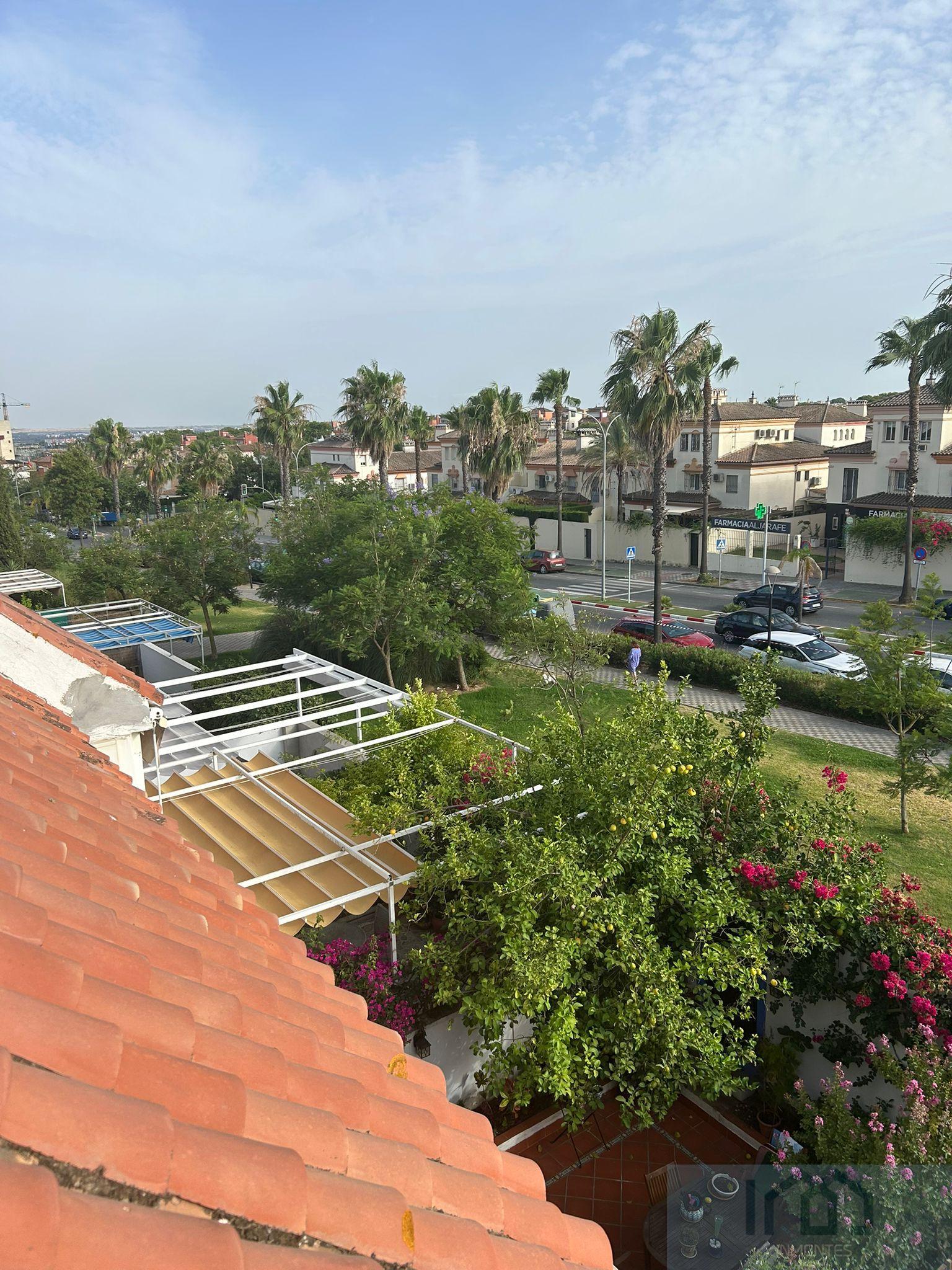 Vistas