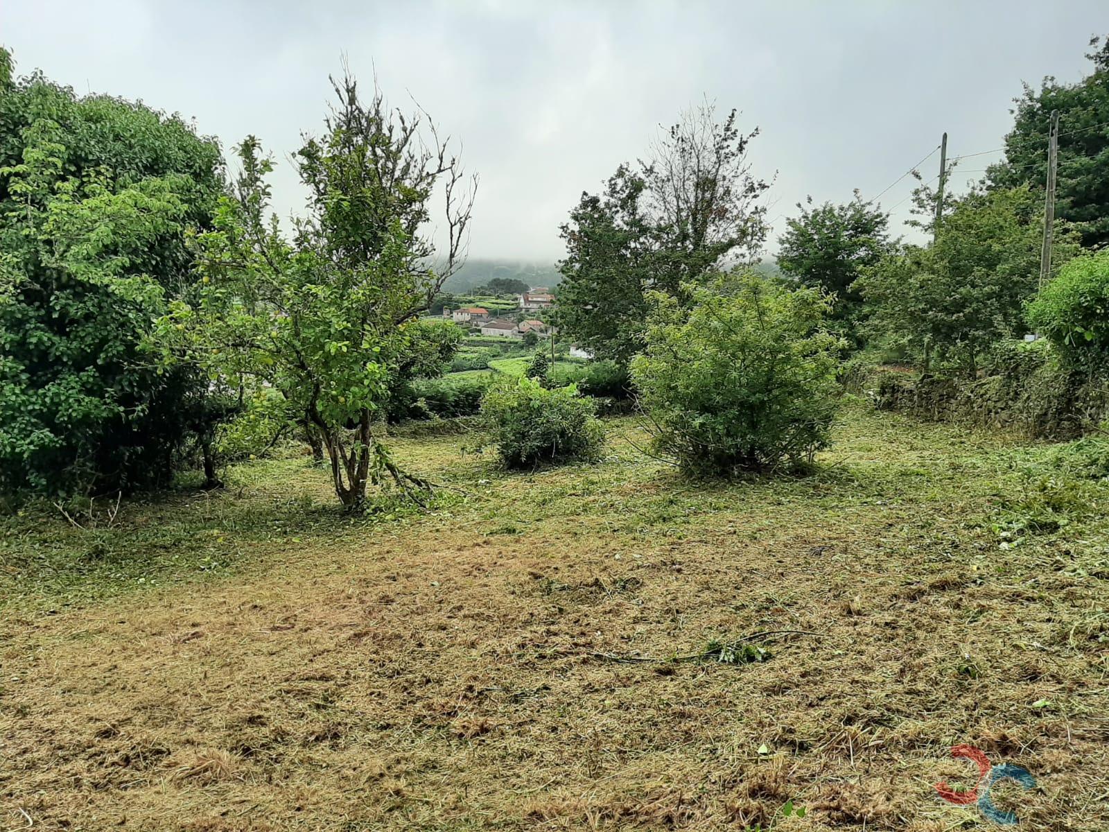 Venta de casa en Campo Lameiro