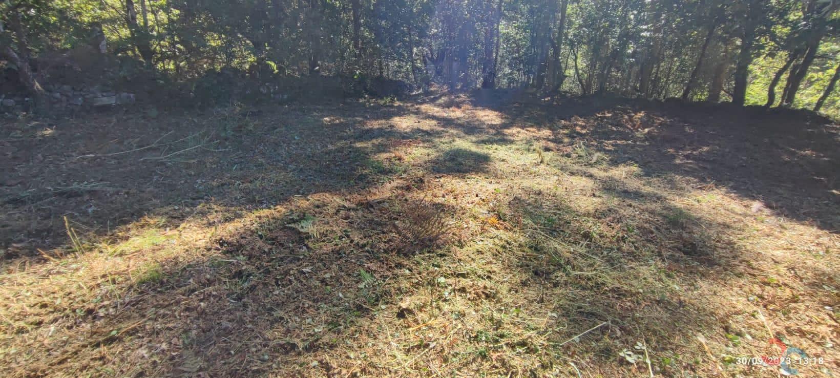 Venta de casa en Campo Lameiro