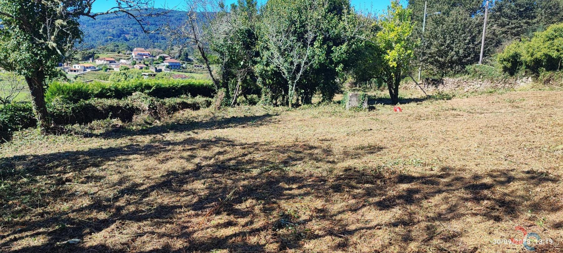 Venta de casa en Campo Lameiro