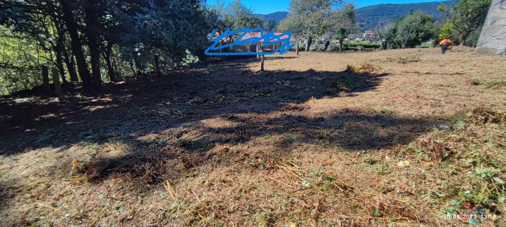 Venta de casa en Campo Lameiro