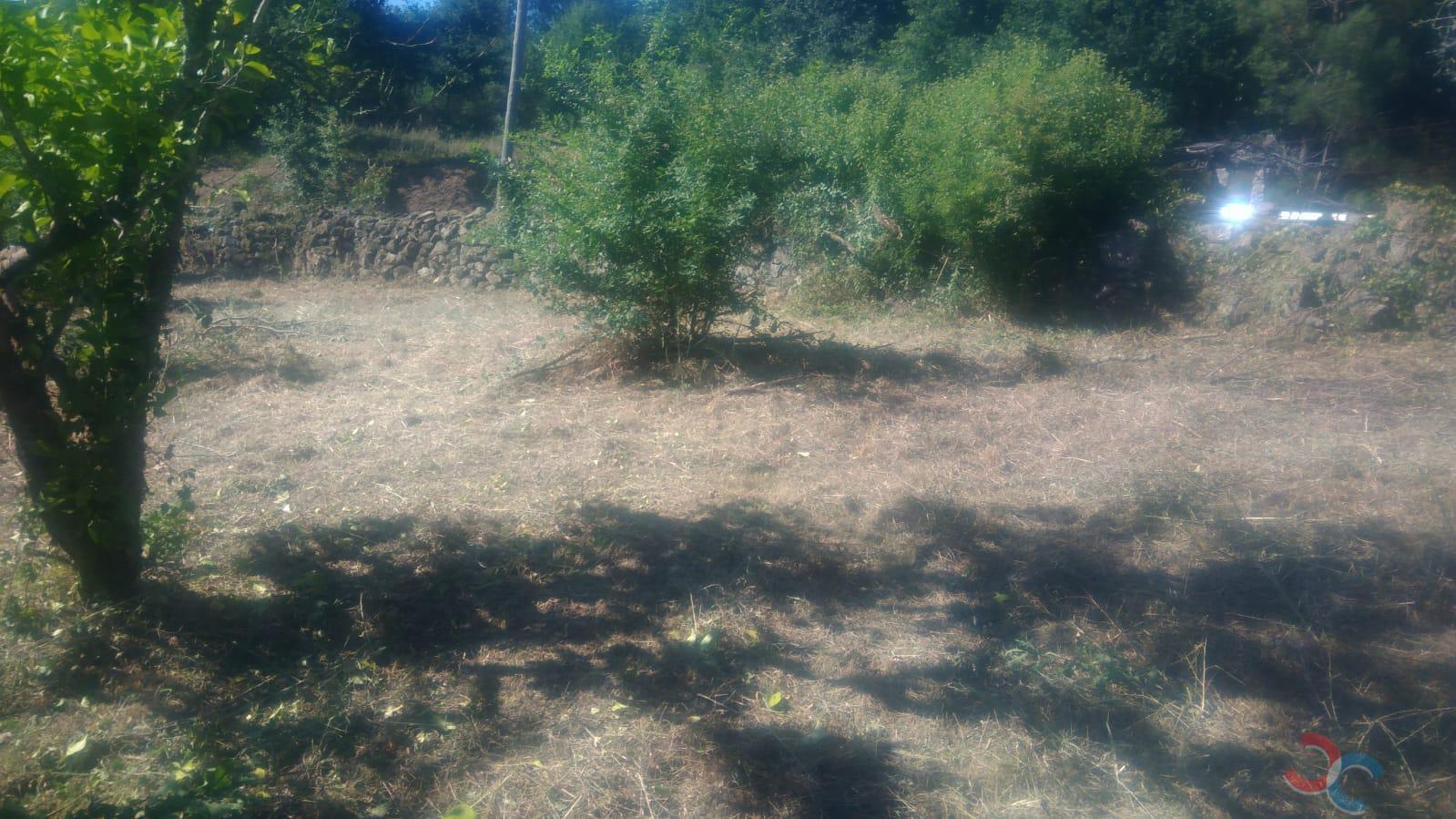 Venta de casa en Campo Lameiro