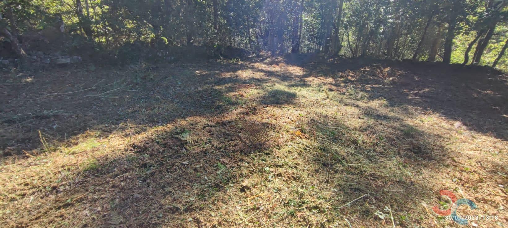 Venta de casa en Campo Lameiro