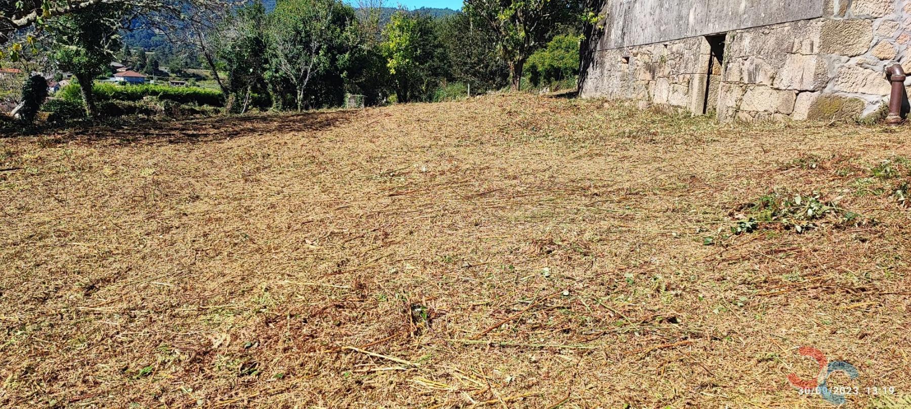 Venta de casa en Campo Lameiro