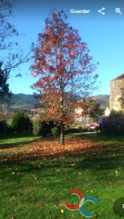 For sale of house in Tomiño