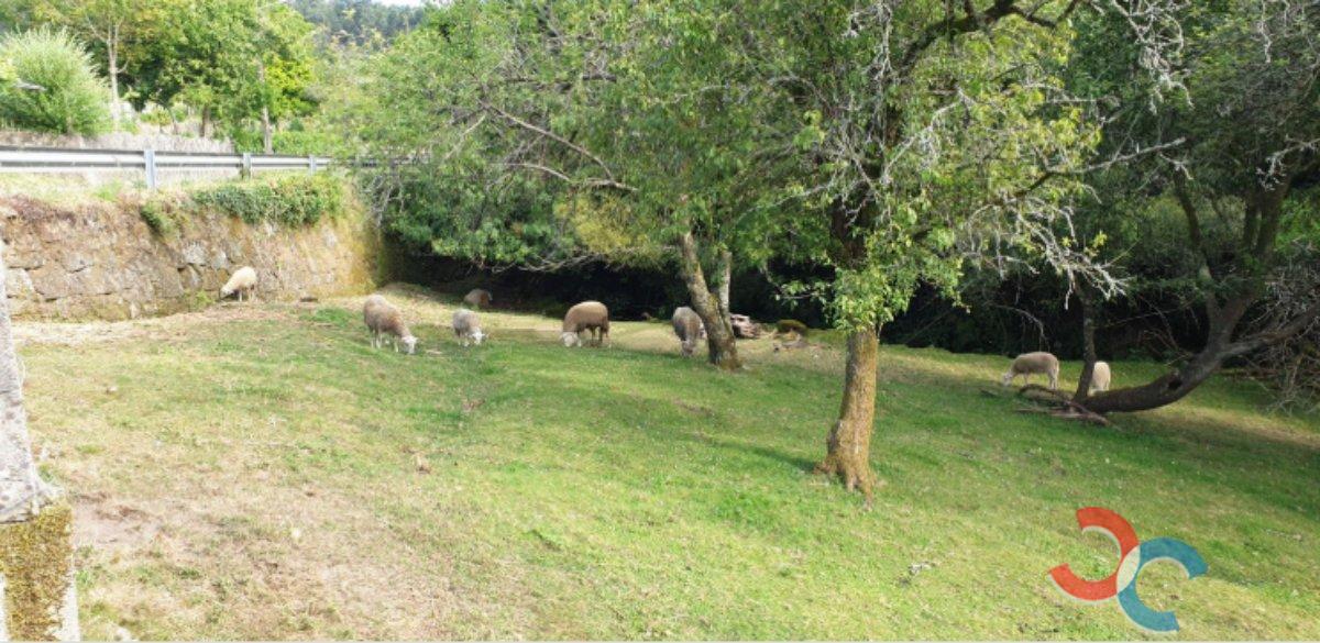 Venta de casa en Moraña