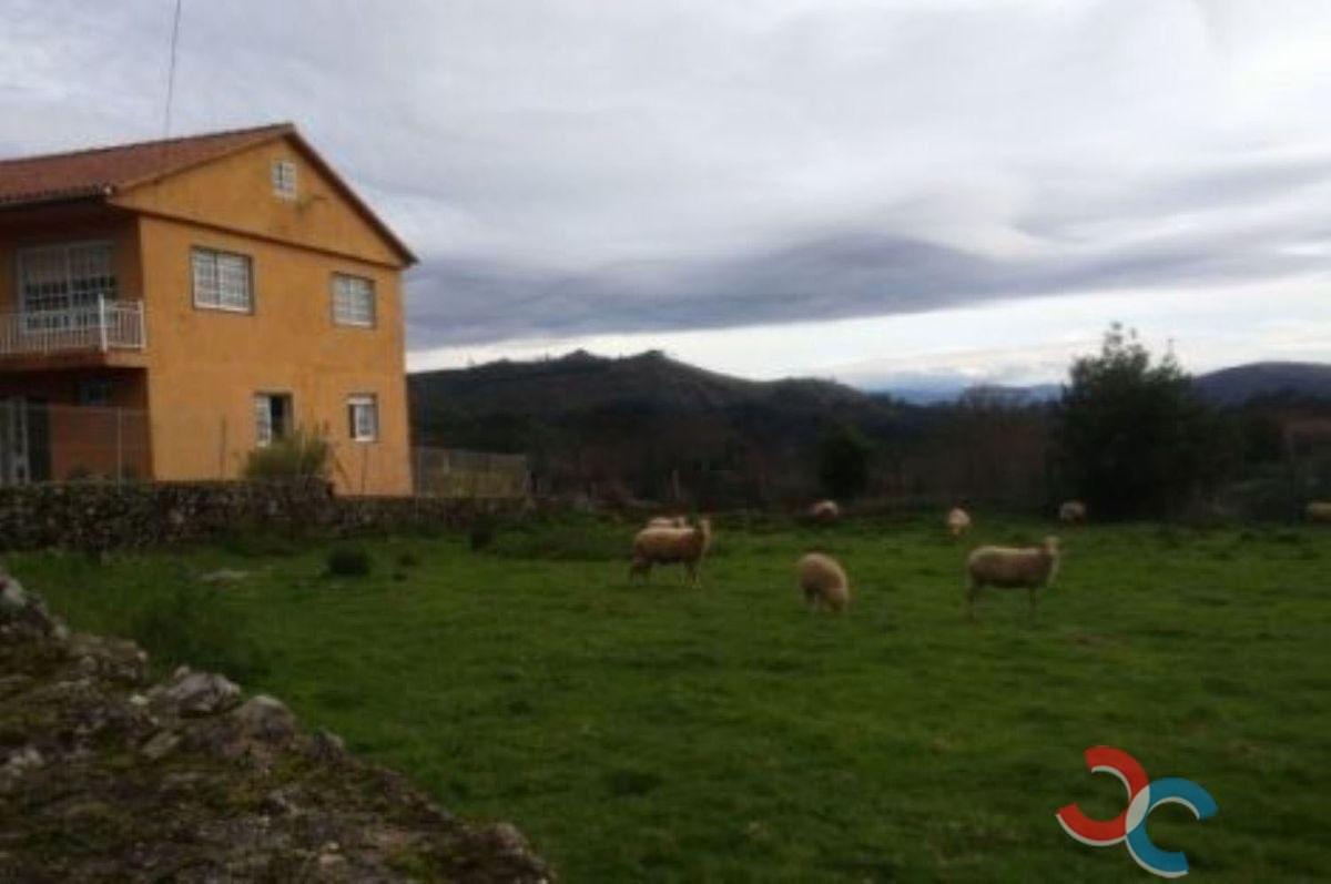 For sale of house in Oia