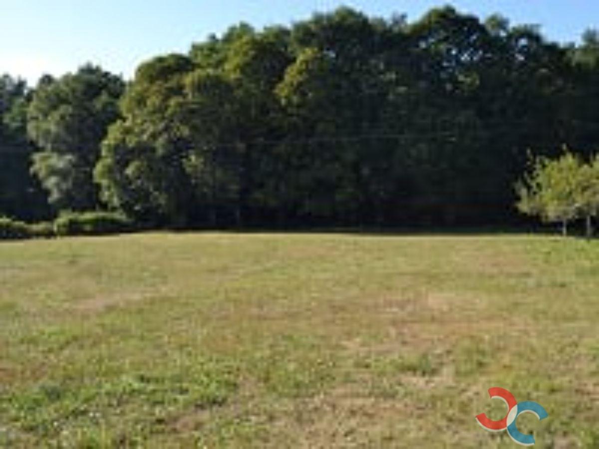 Venta de casa en Forcarei