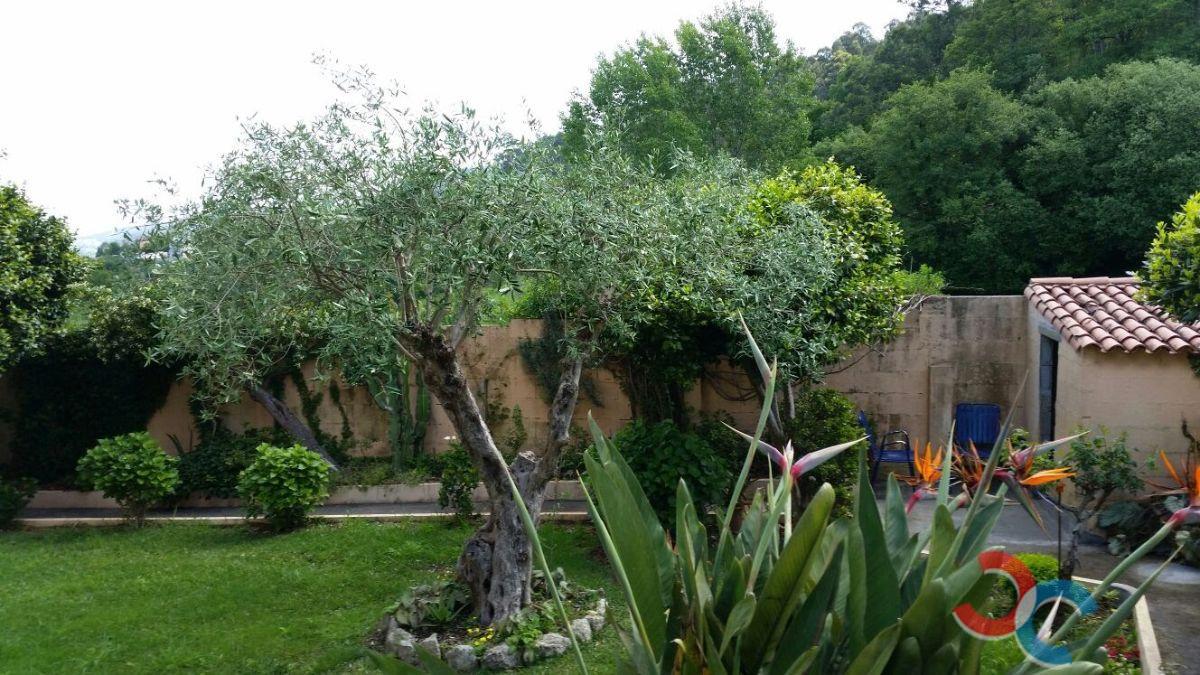 For sale of house in Bueu