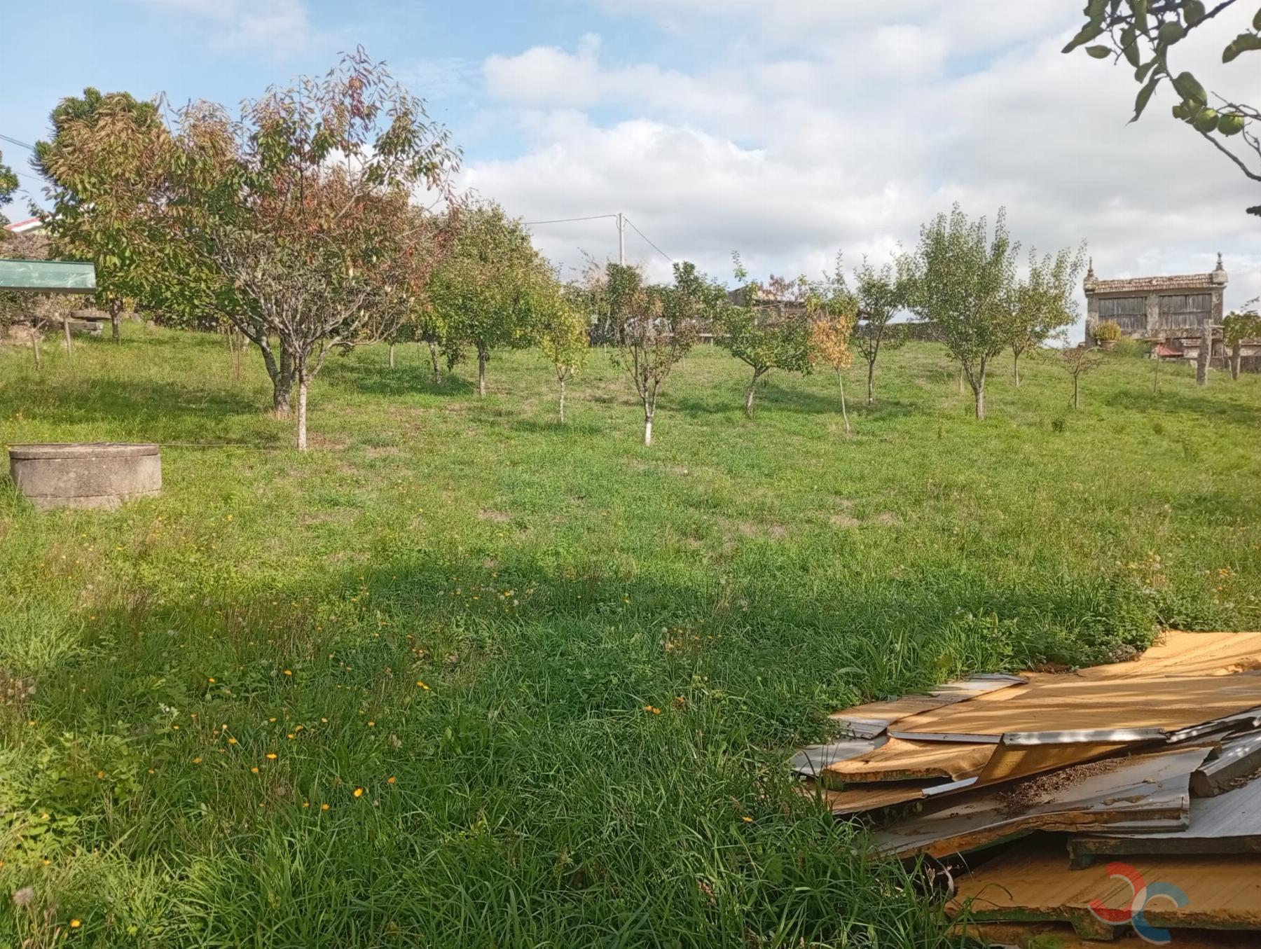 Venta de casa en Campo Lameiro