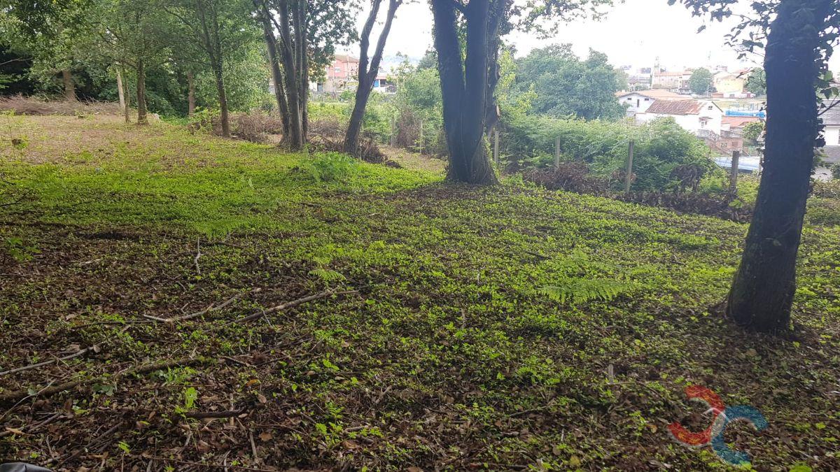 Venda de chão em Lourizán