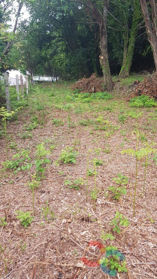 Venda de chão em Lourizán