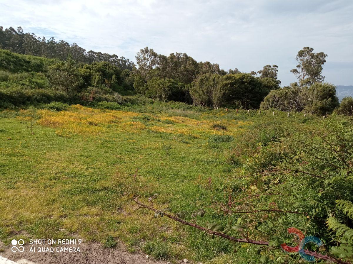 For sale of land in Bueu