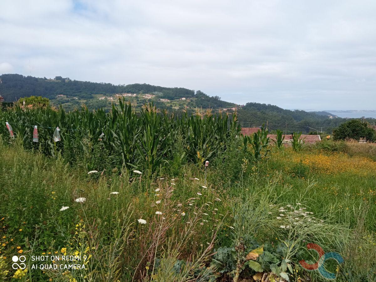 For sale of land in Marín
