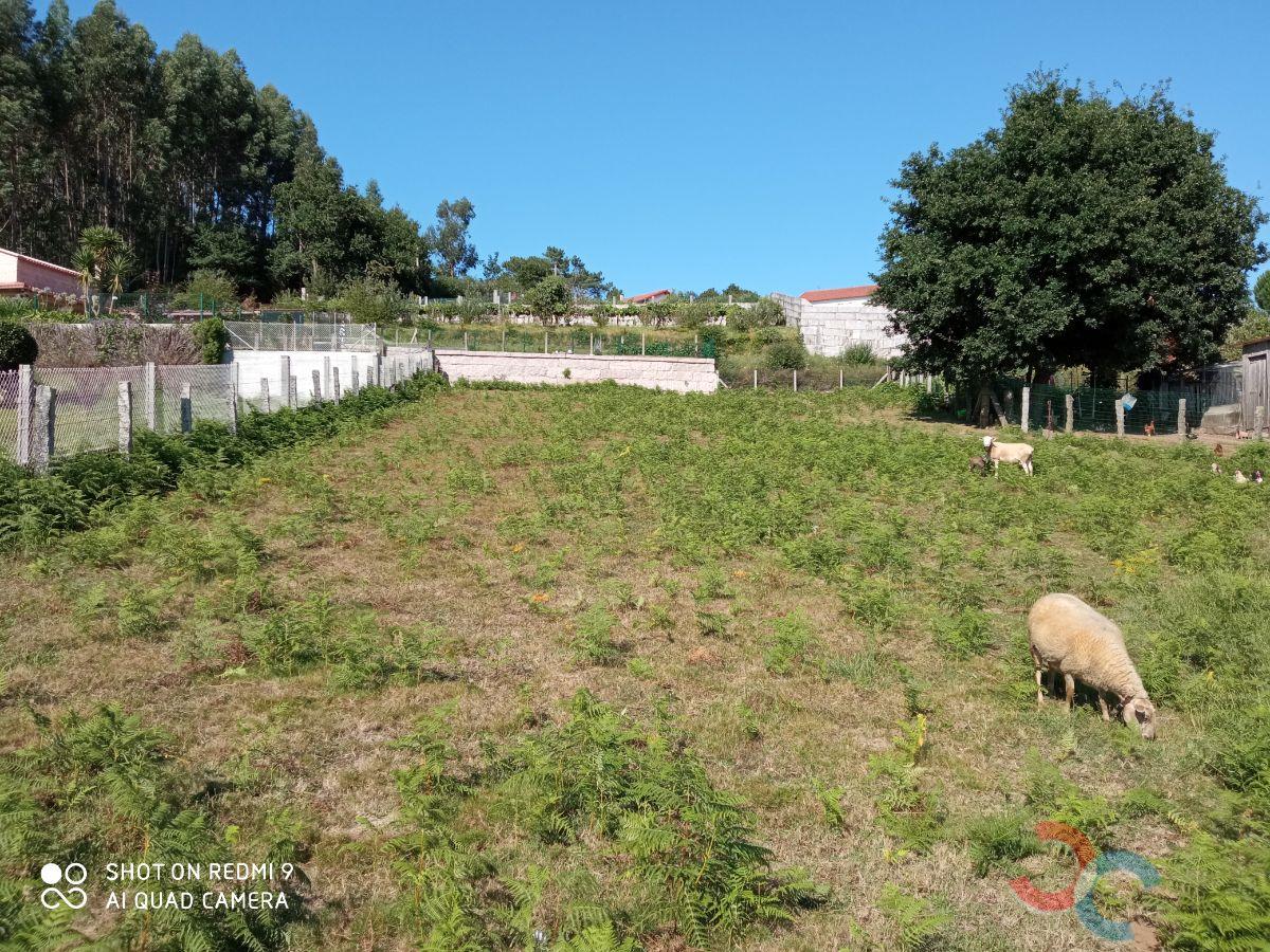 For sale of land in Marín