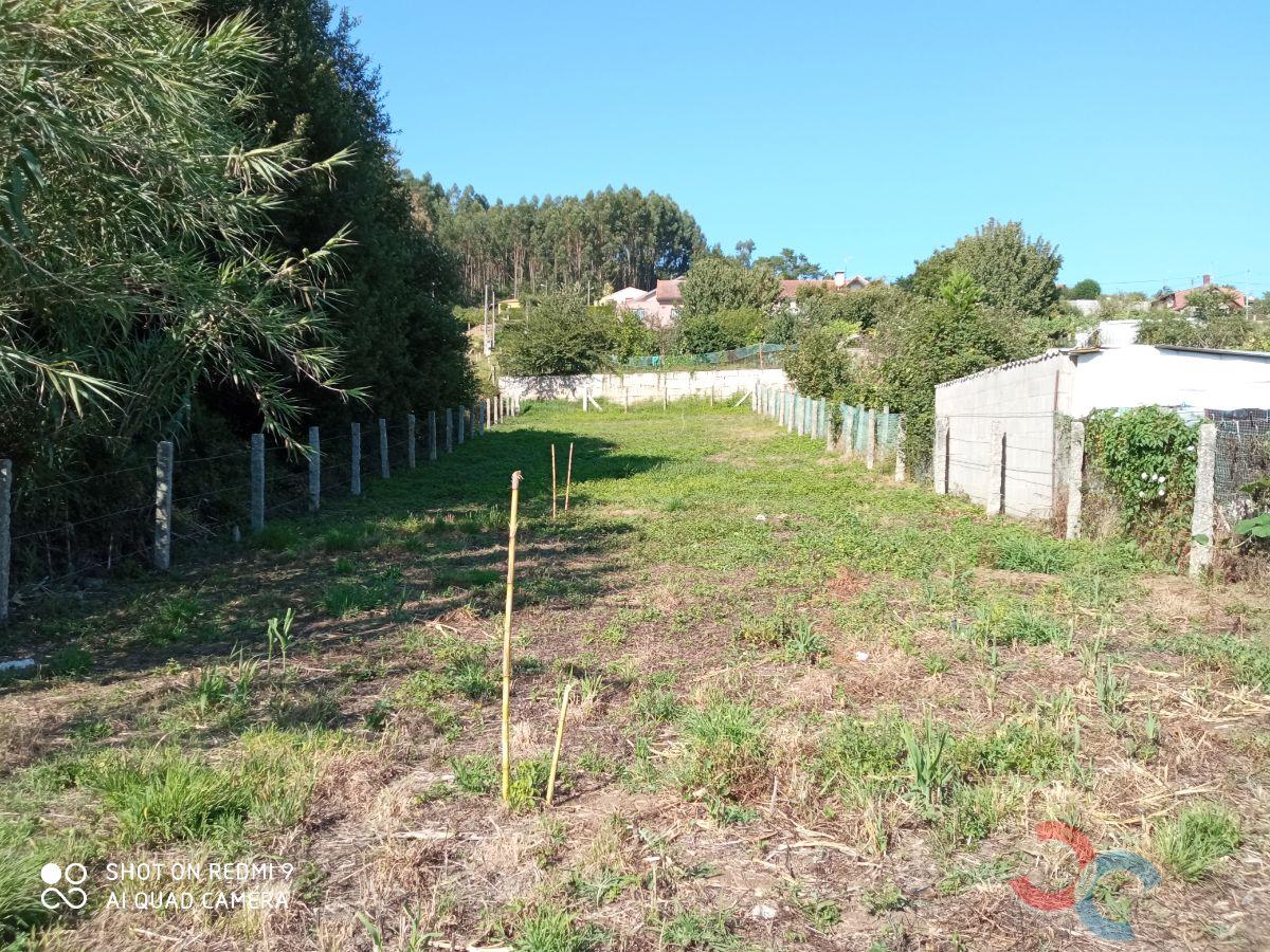 Venta de finca rústica en Marín