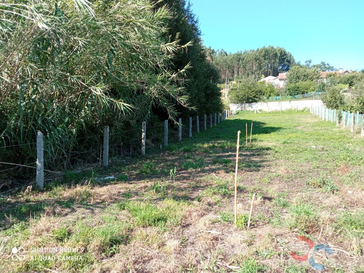 Venta de finca rústica en Marín