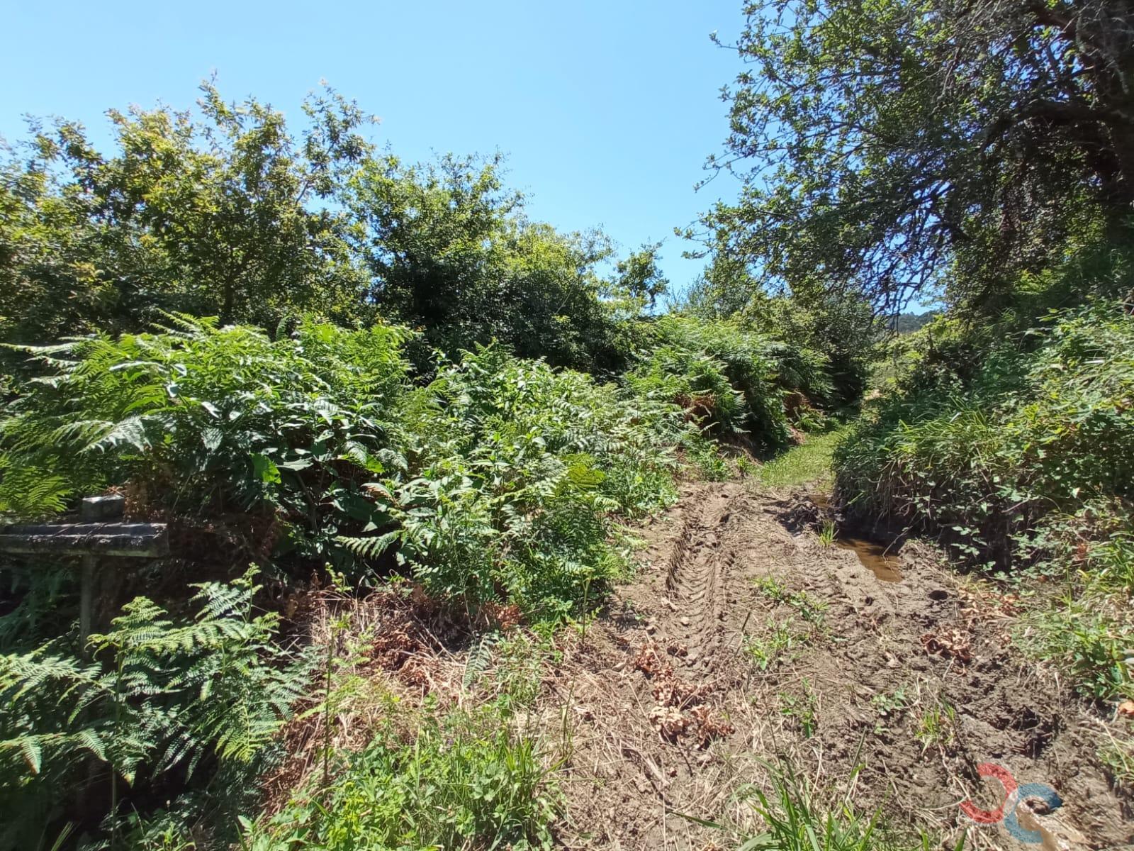 For sale of land in Marín