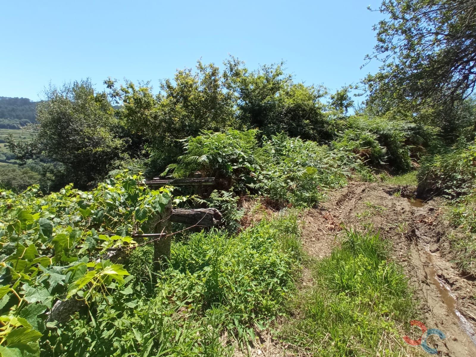 For sale of land in Marín
