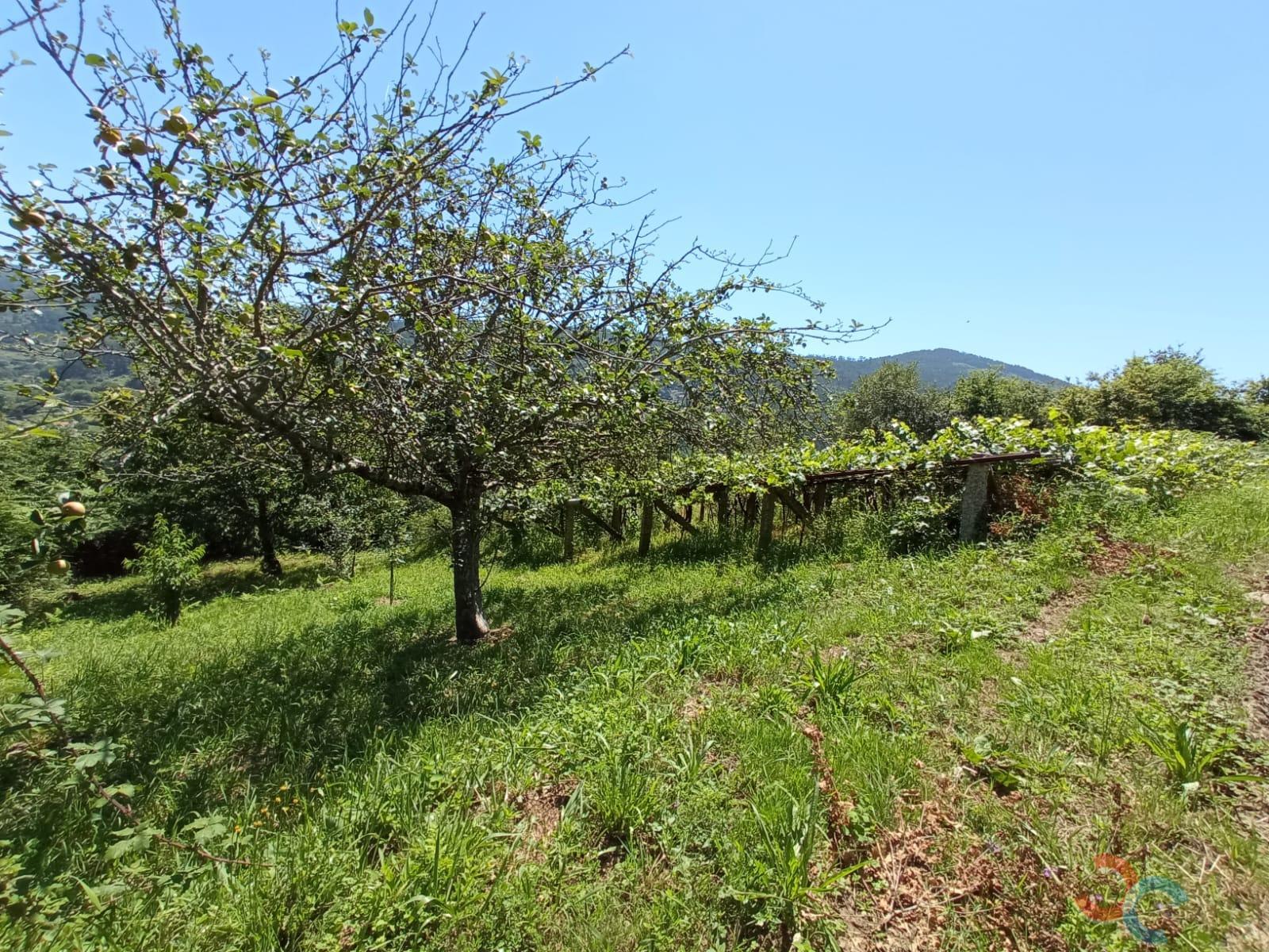 For sale of land in Marín