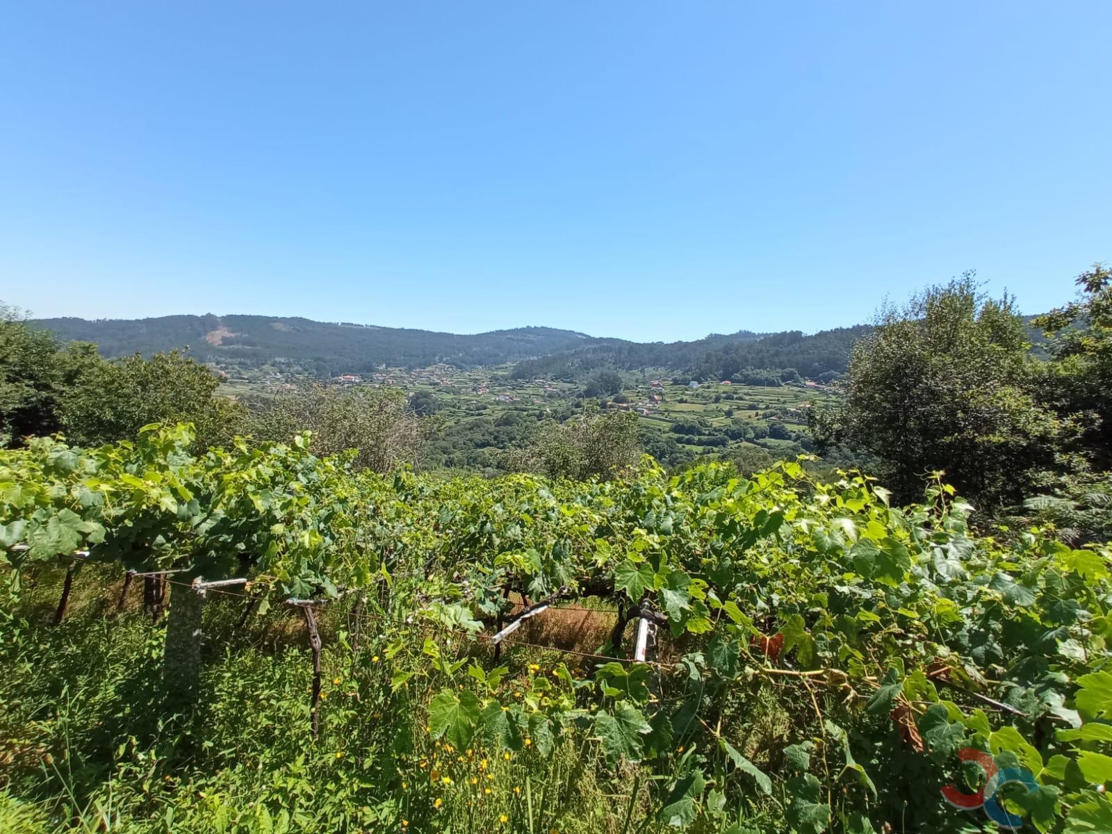For sale of land in Marín
