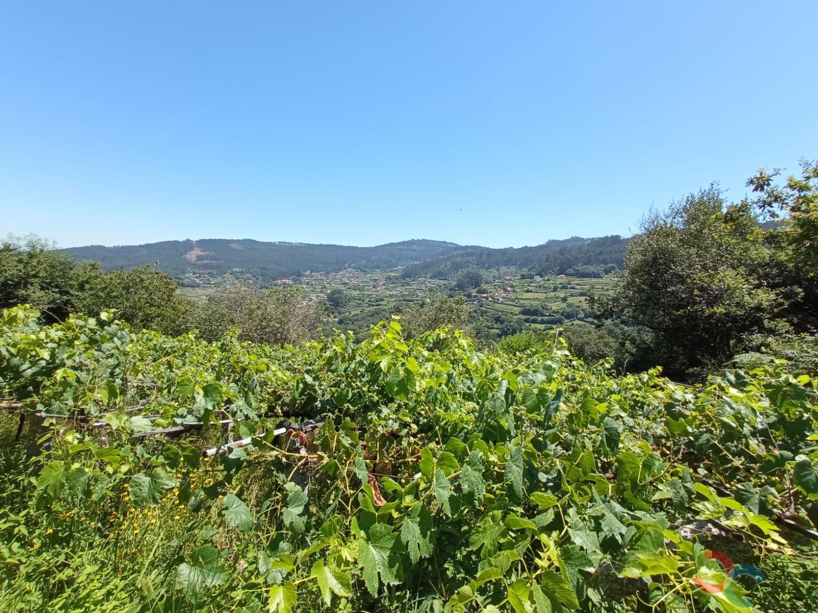 For sale of land in Marín
