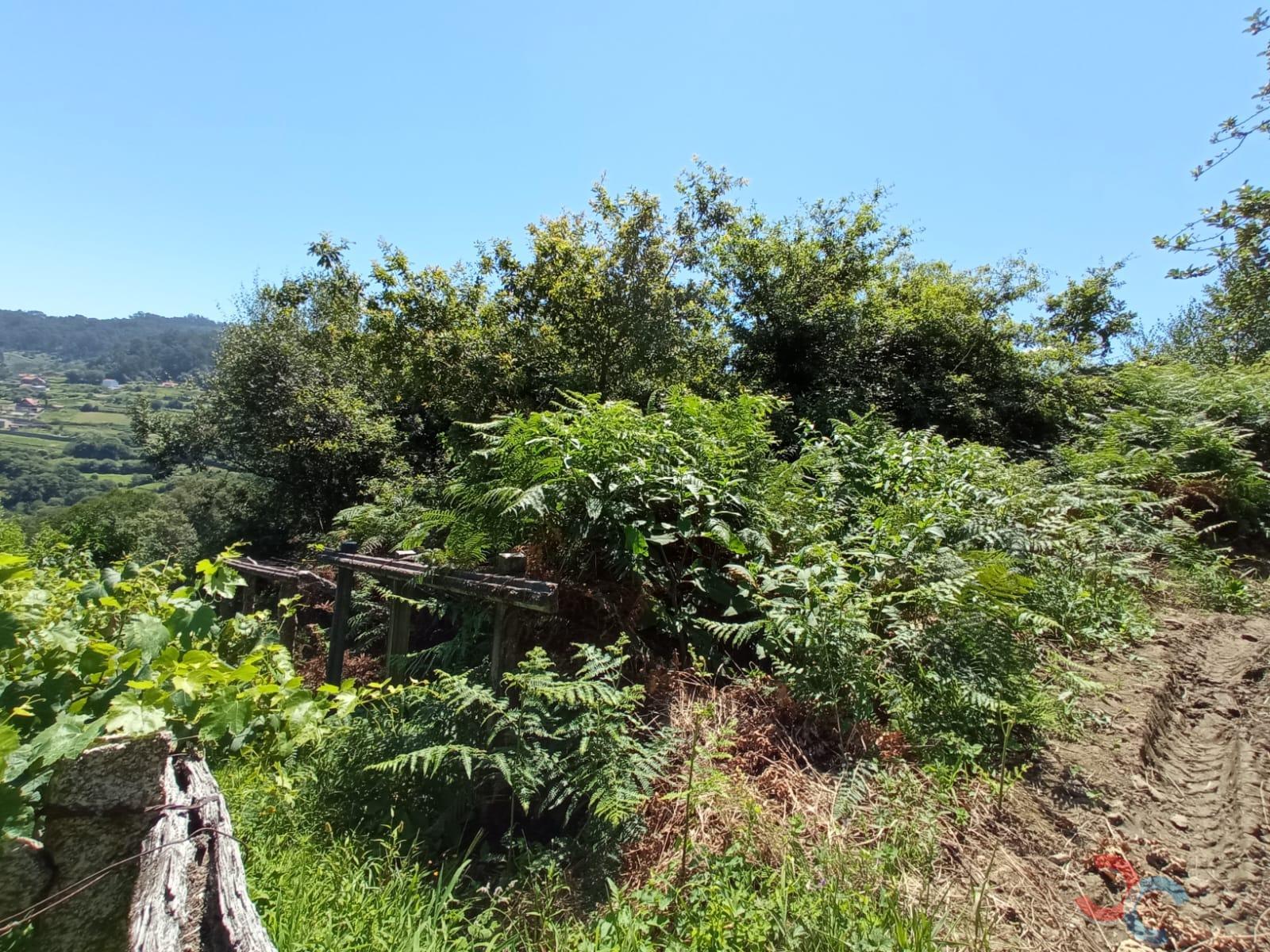 For sale of land in Marín