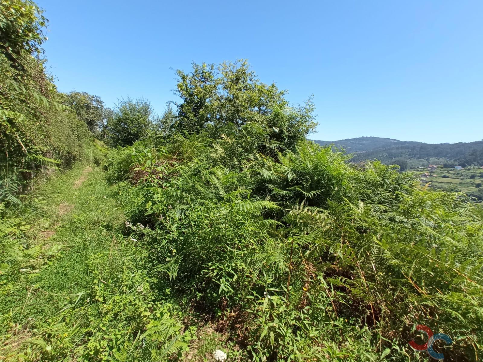 For sale of land in Marín