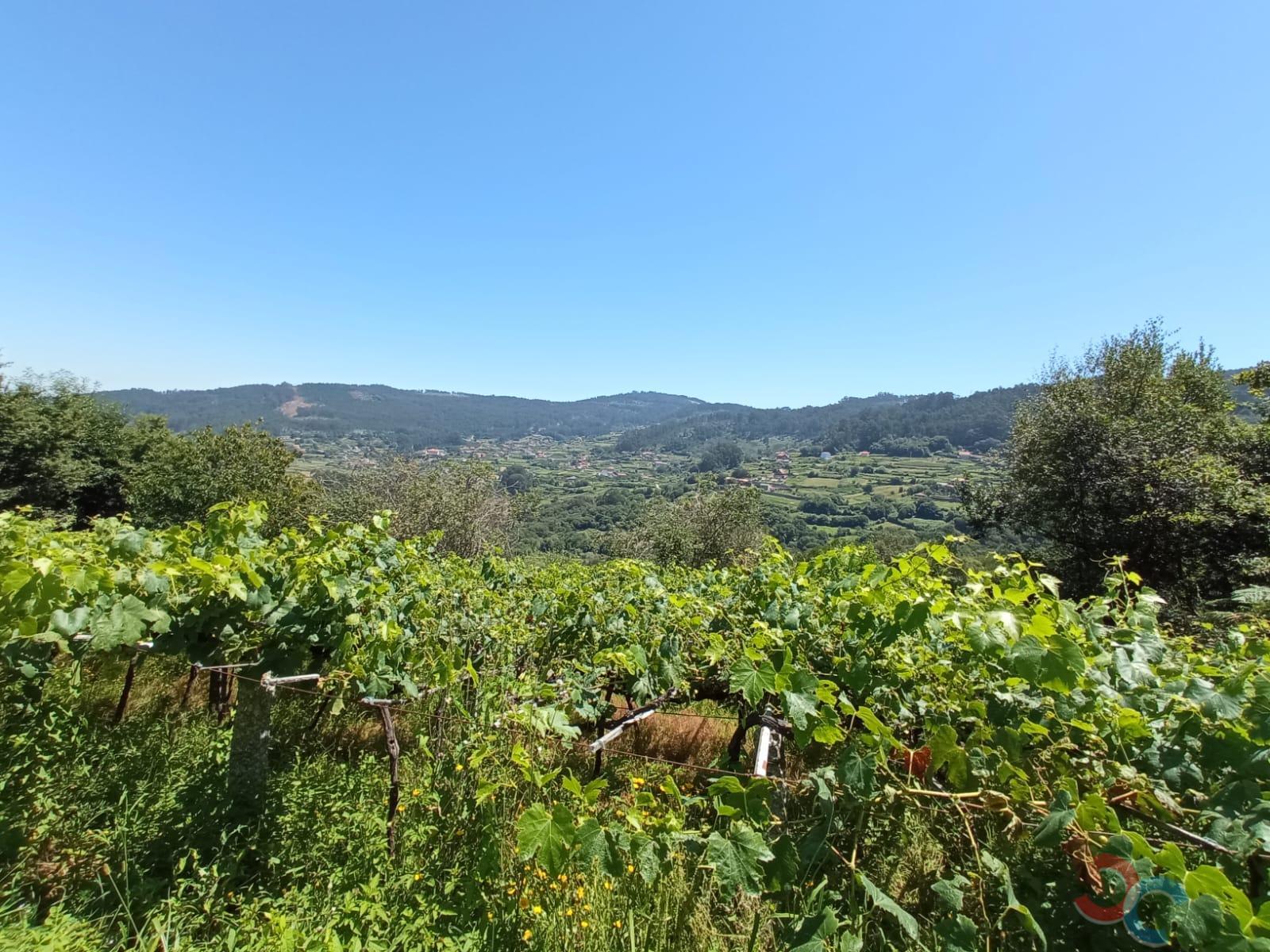For sale of land in Marín