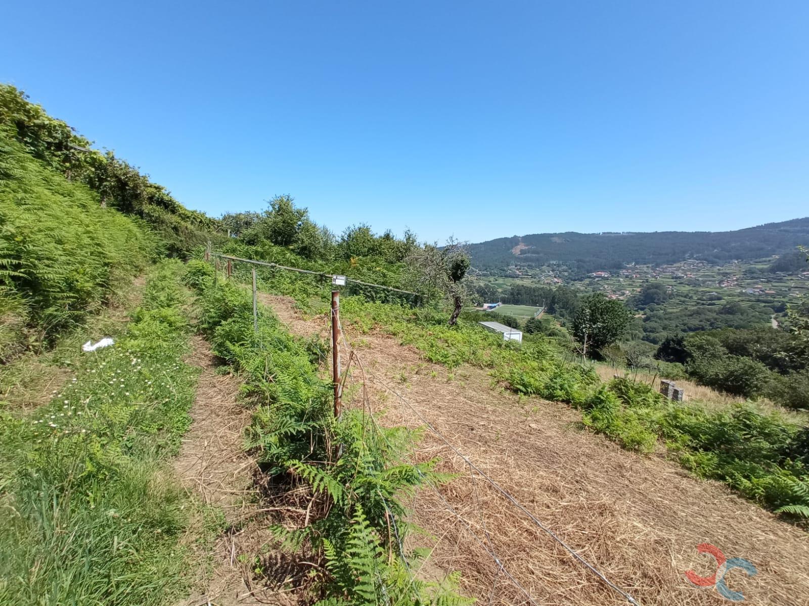 For sale of land in Marín