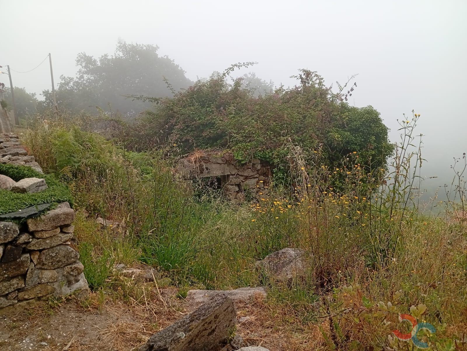 Venta de finca rústica en Marín