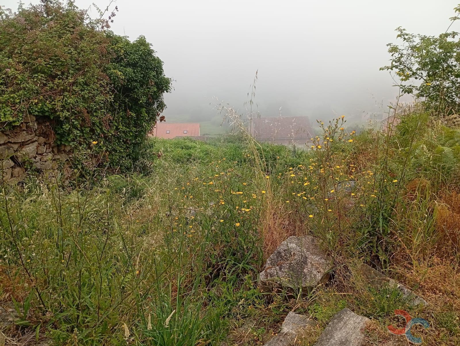 Venta de finca rústica en Marín