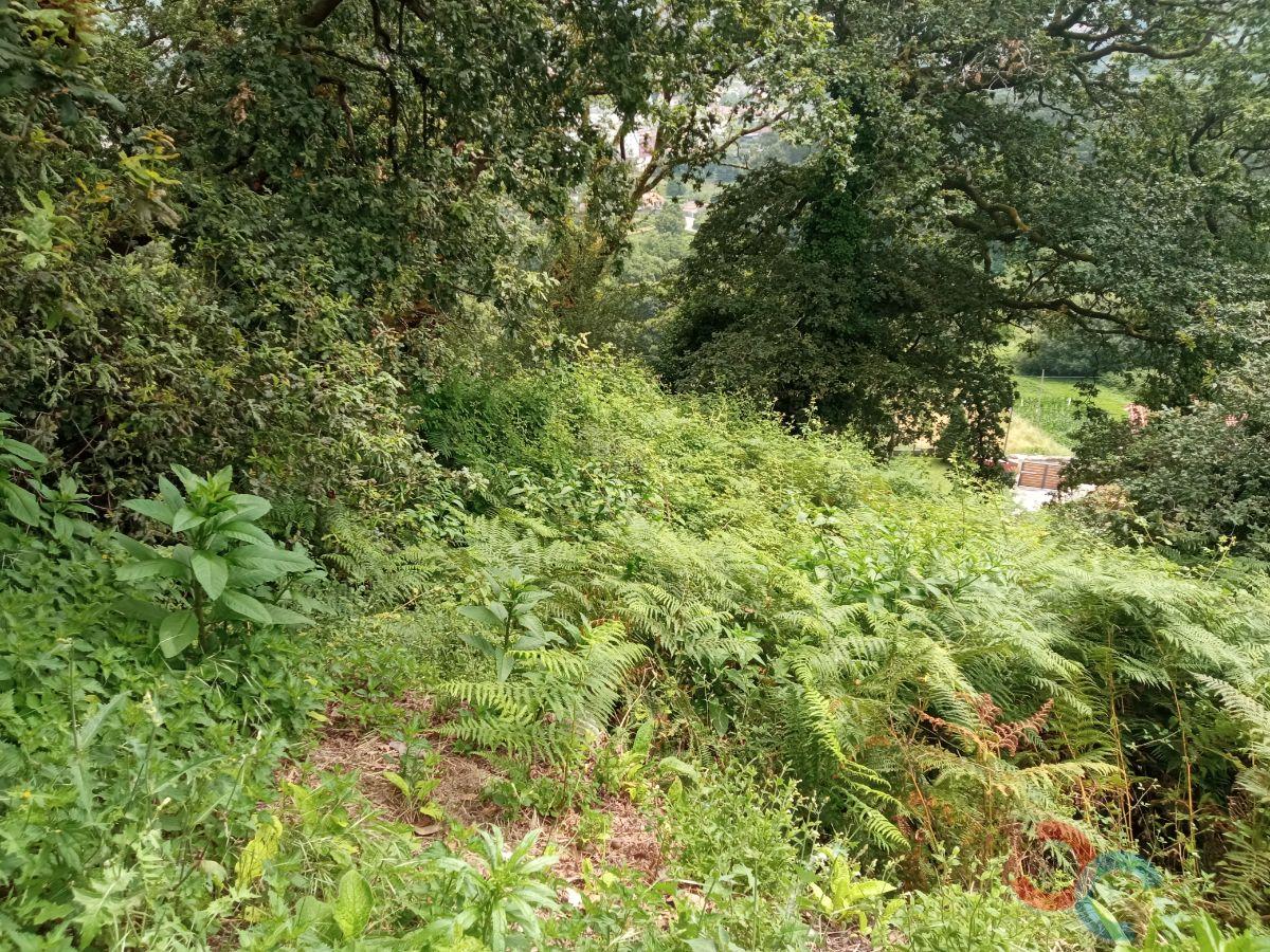 Venda de propriedade rural em Marín