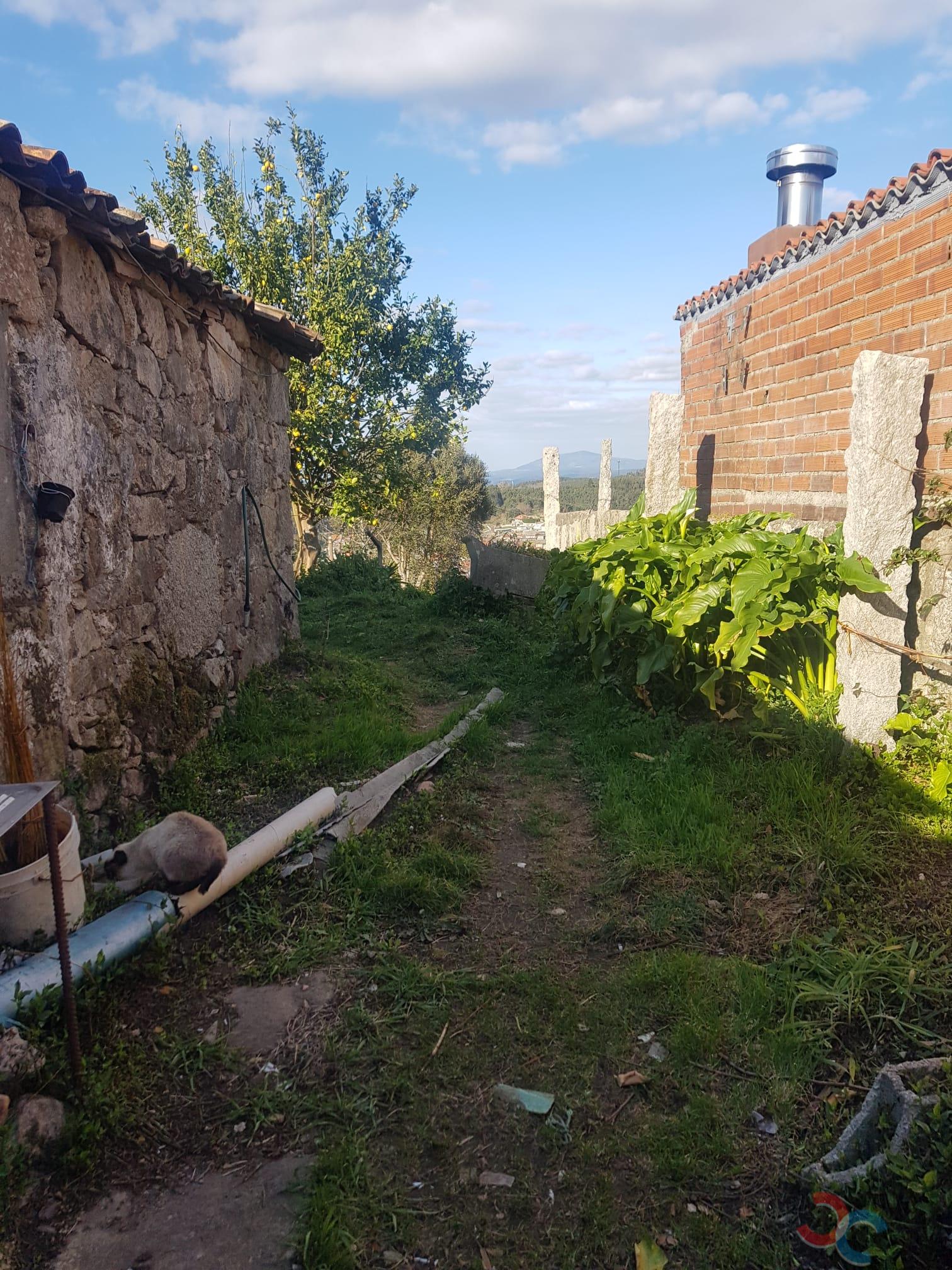 For sale of land in Barro