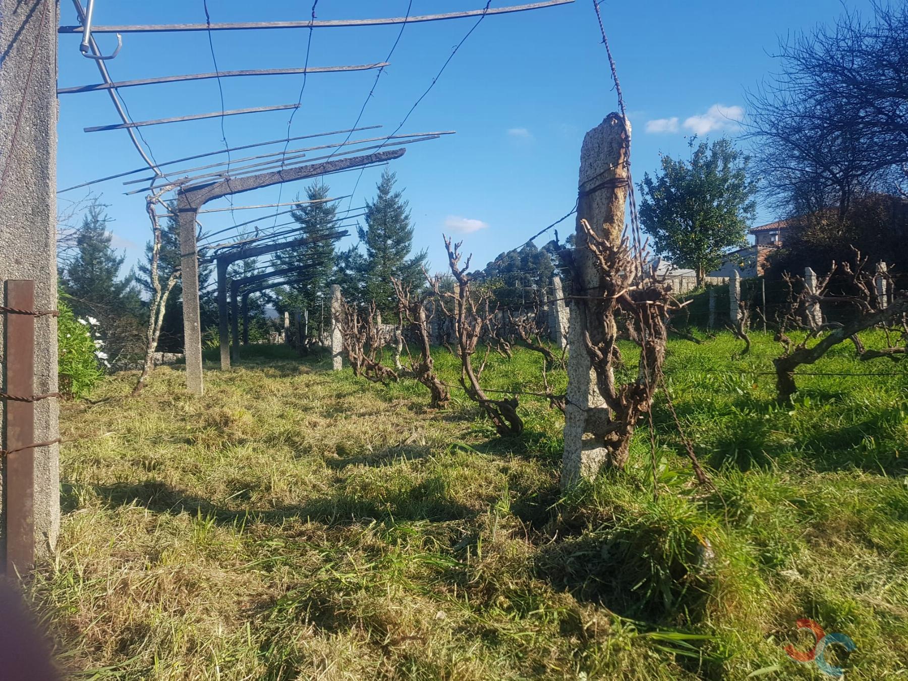 Venta de terreno en Barro