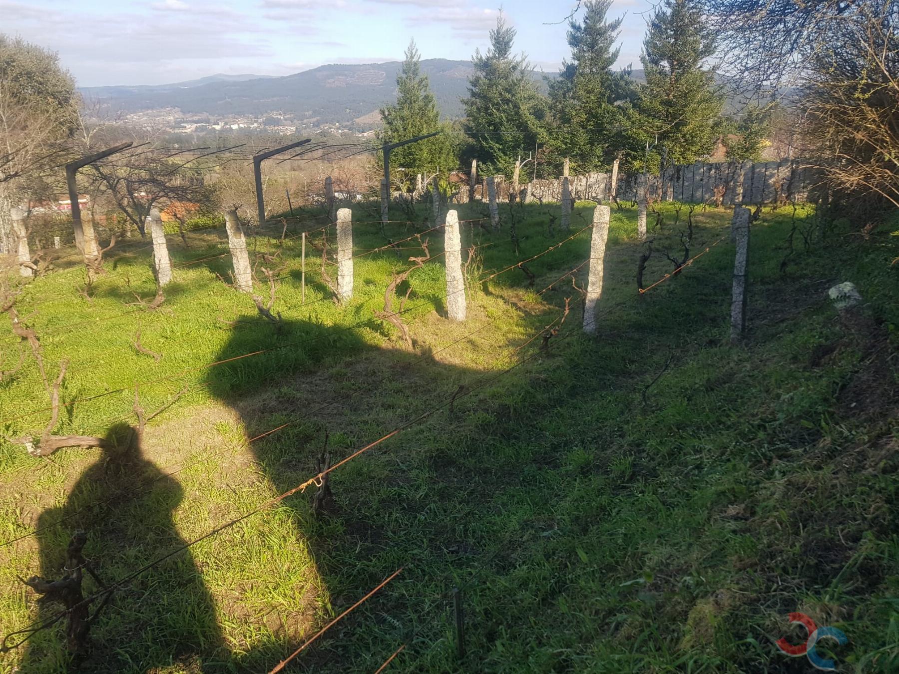 Venta de terreno en Barro