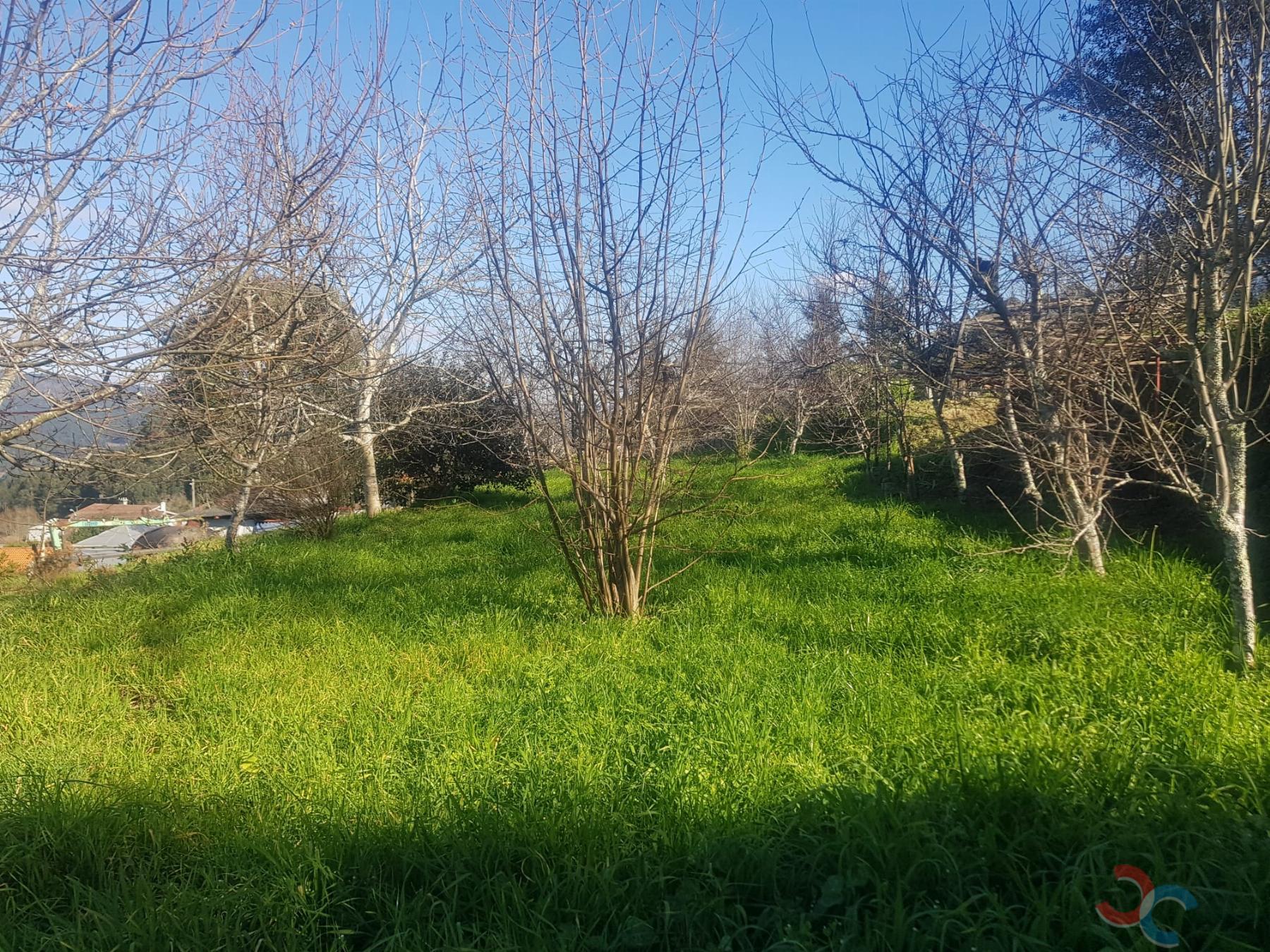Venda de chão em Barro