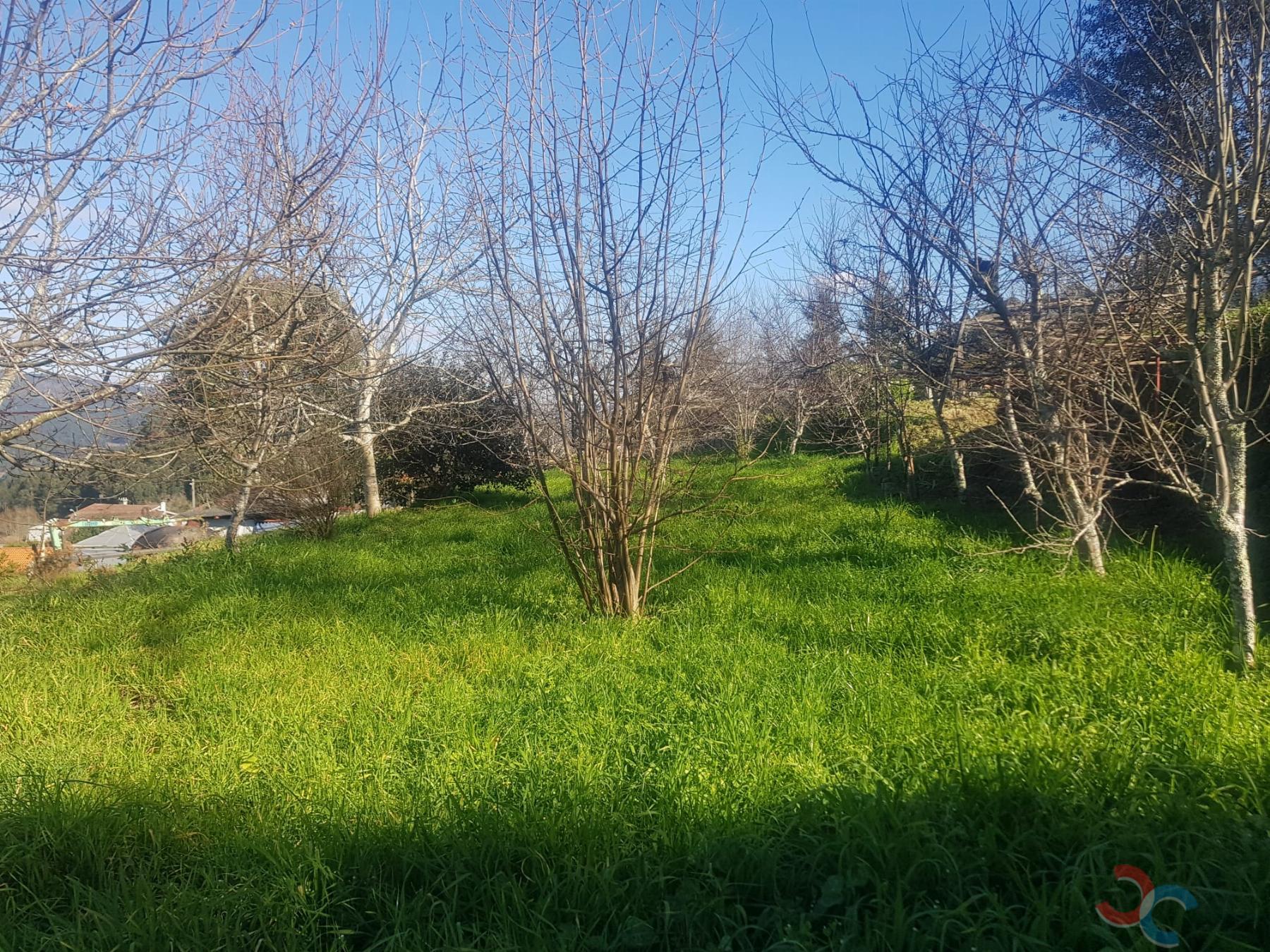 Venta de terreno en Barro