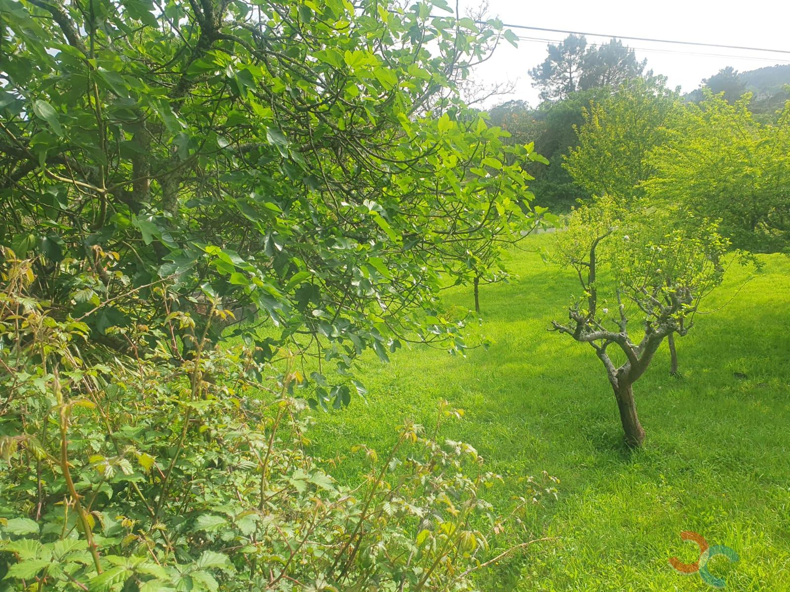 For sale of house in Pontevedra
