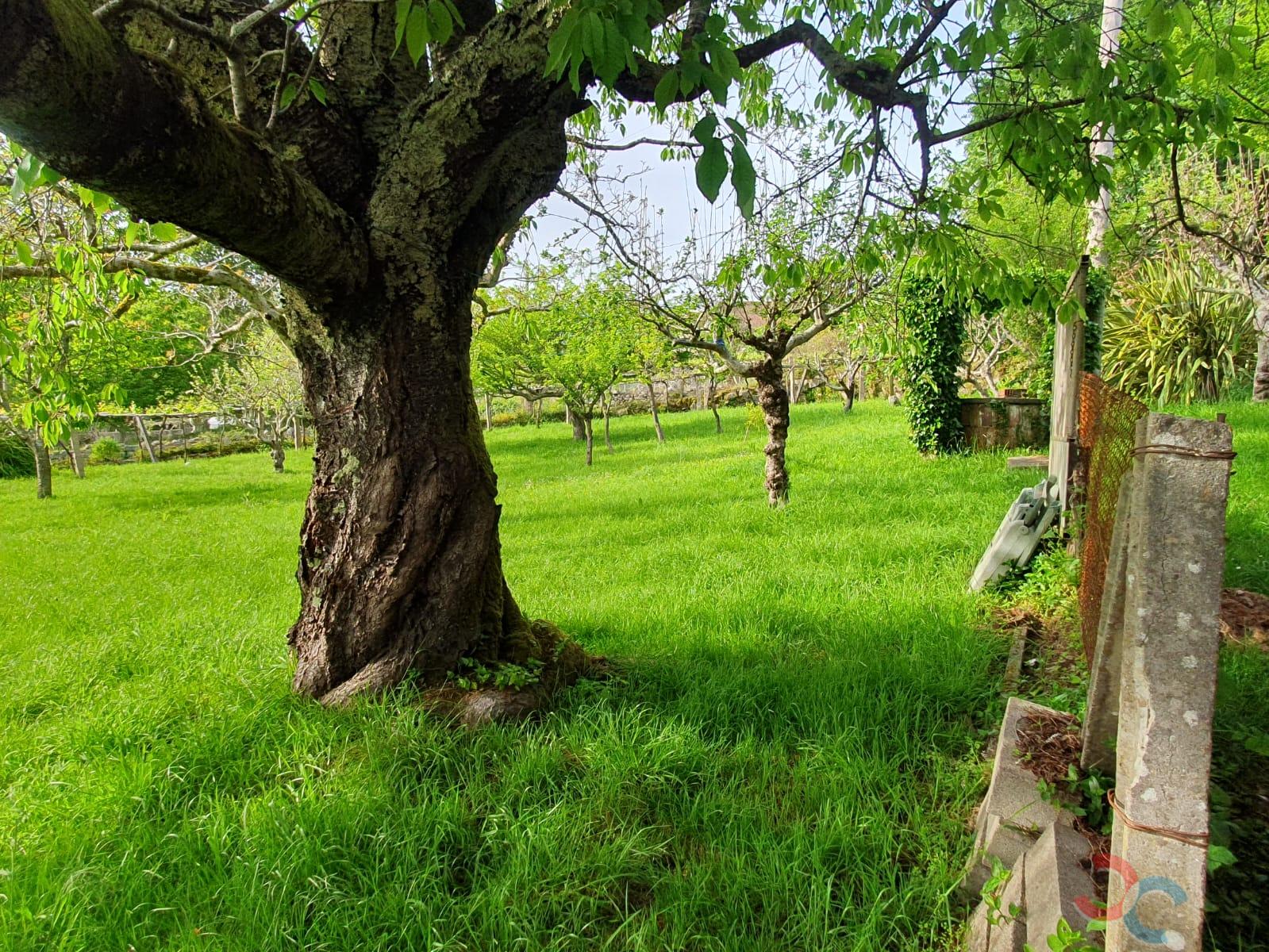 For sale of house in Pontevedra