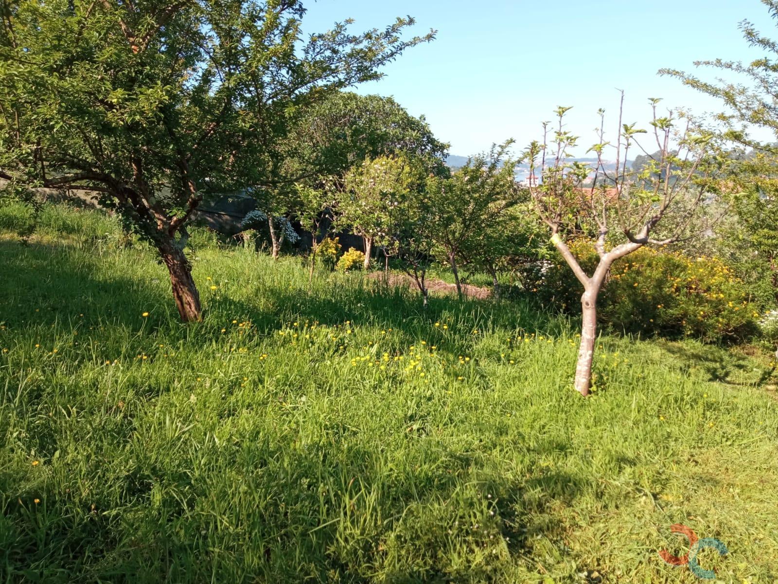 Venda de chão em Marín